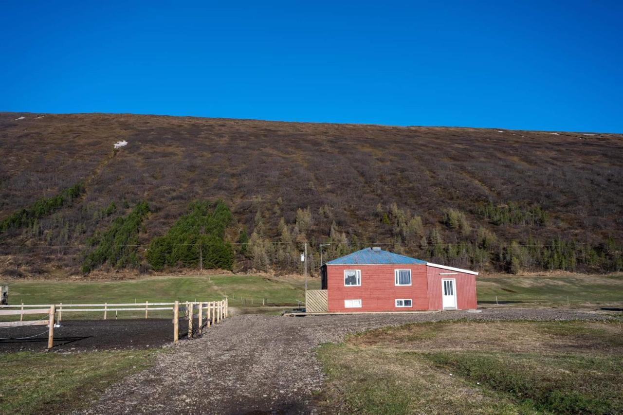 Sandhaugar Guesthouse Kiðagil Eksteriør bilde