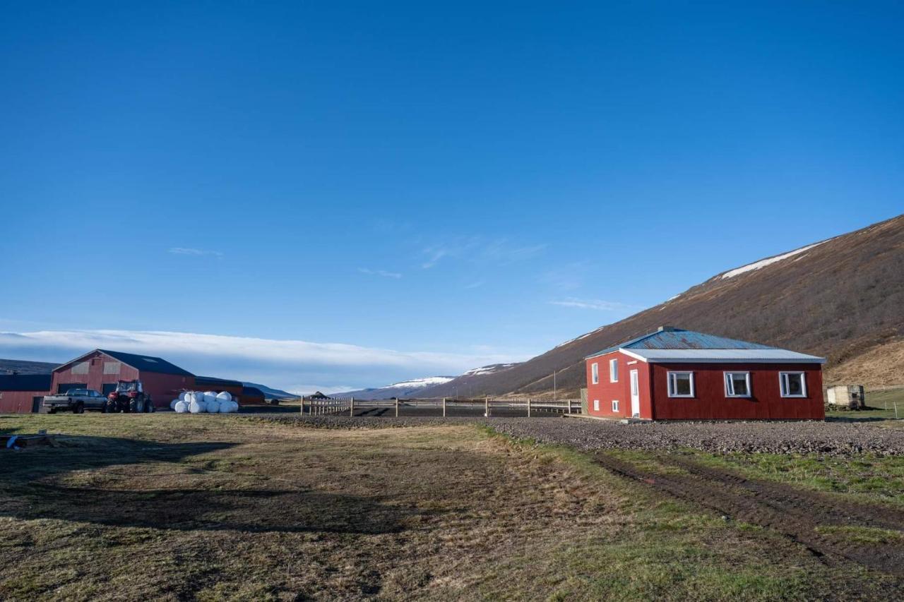 Sandhaugar Guesthouse Kiðagil Eksteriør bilde
